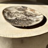 Very large empty pocket or dish in medium light petrified wood 1143