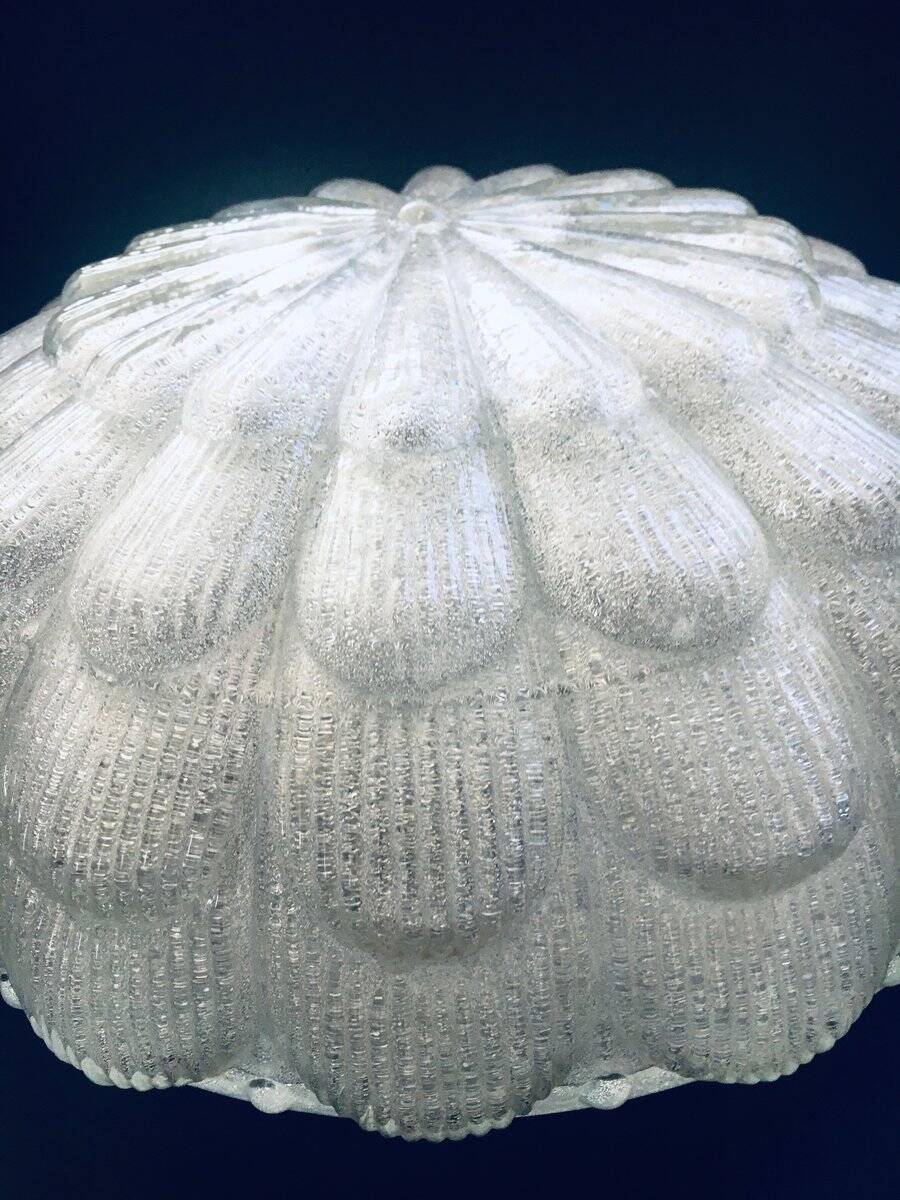 Large Frosted Flower Glass Sconce Wall Lamp from MCM, 1960s