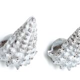 Pair of grey ceramic shell wall lights, Vallauris 1960s