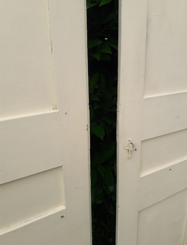 Pair of doors of antique closet