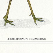 Lithograph chimeric engraving animal - the cariapocampus