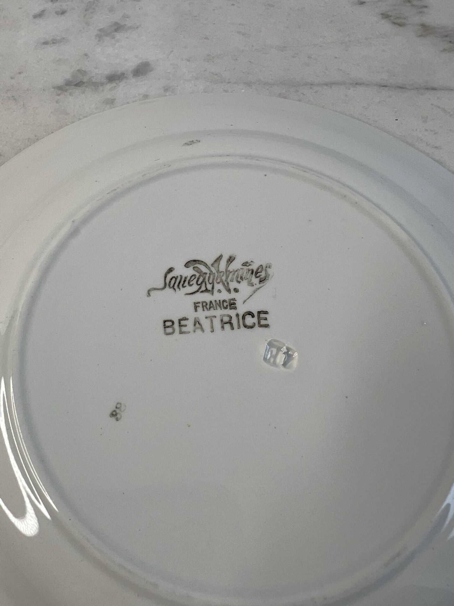 Lot de 15 assiettes plates Sarreguemines collection Béatrice