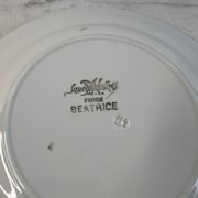 Lot de 15 assiettes plates Sarreguemines collection Béatrice