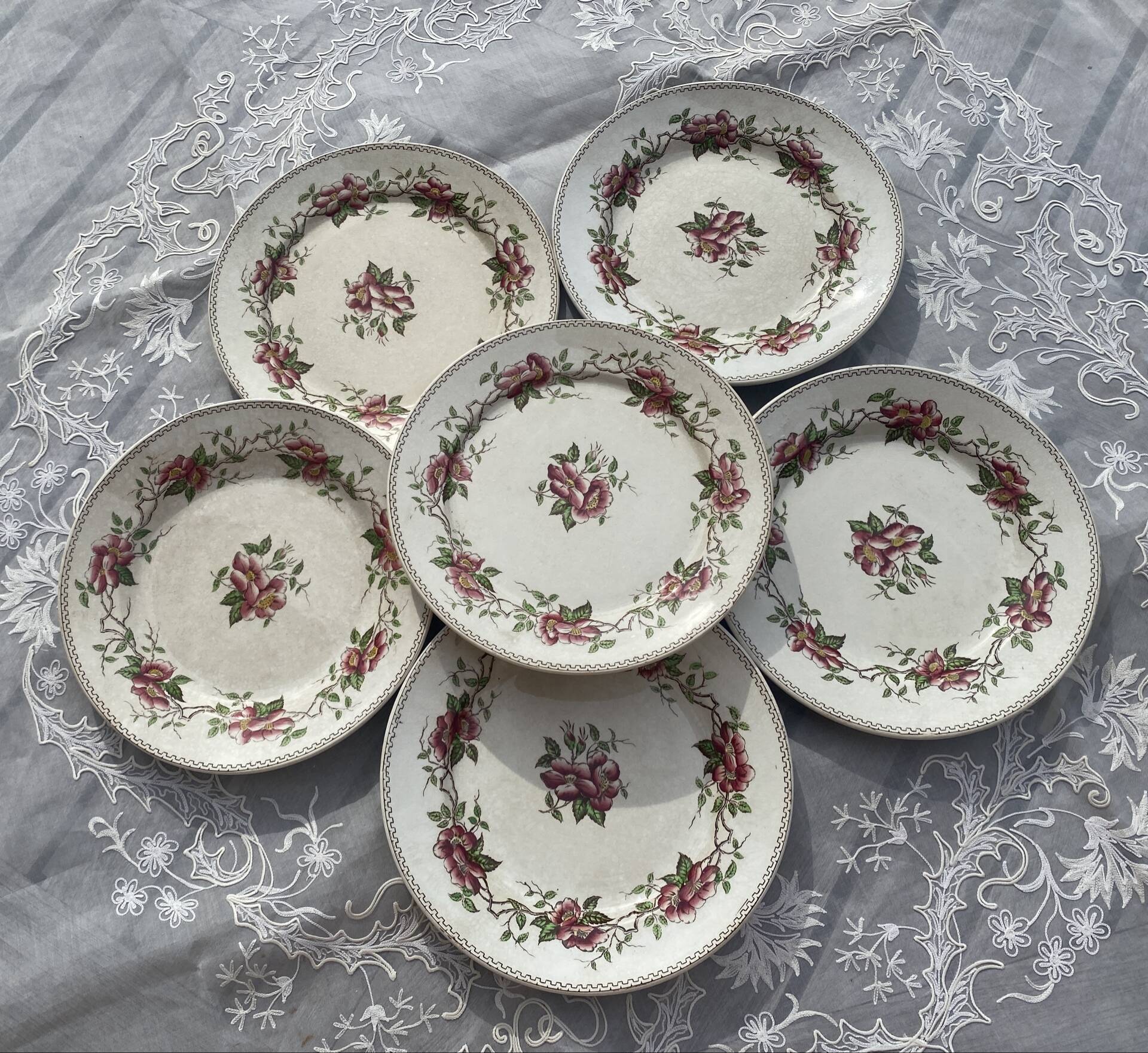 Lot de 6 assiettes à dessert polychromes Sarreguemines