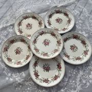 Set of 6 polychrome dessert plates Sarreguemines