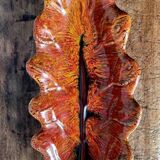 Magnificent leaf-shaped basket signed Vallauris