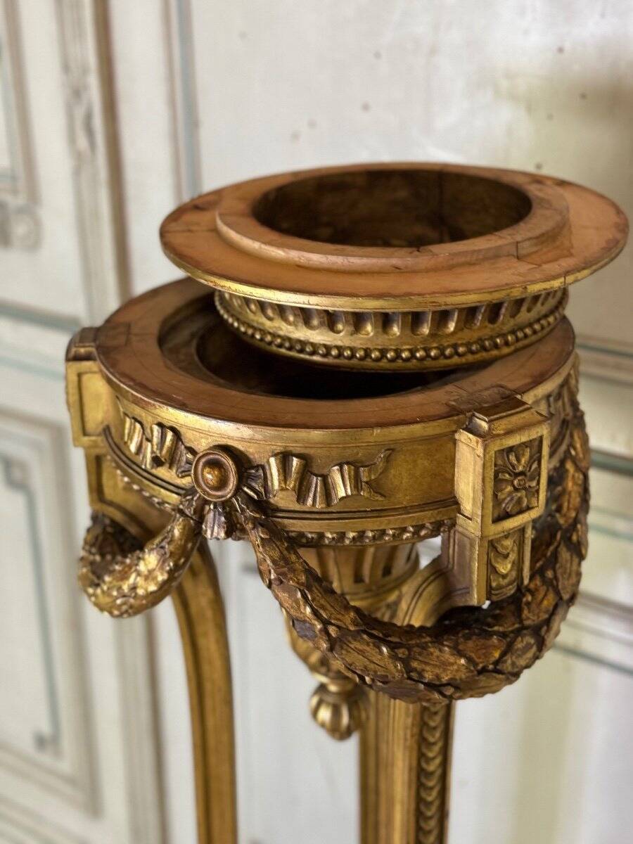Louis XVI style planter in carved and gilded wood circa 1900