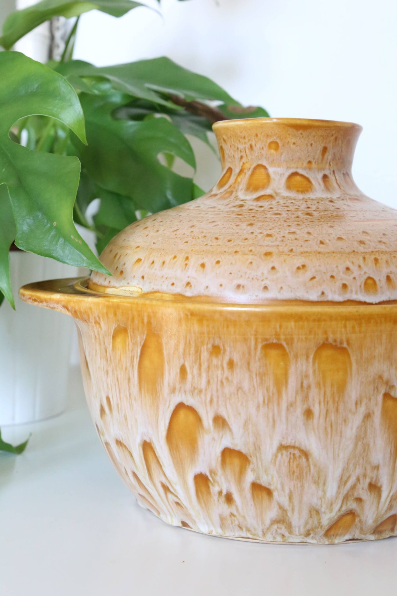 Salad bowl, or soup bowl, ceramic, Niderviller Motif Fauve