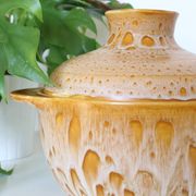 Salad bowl, or soup bowl, ceramic, Niderviller Motif Fauve
