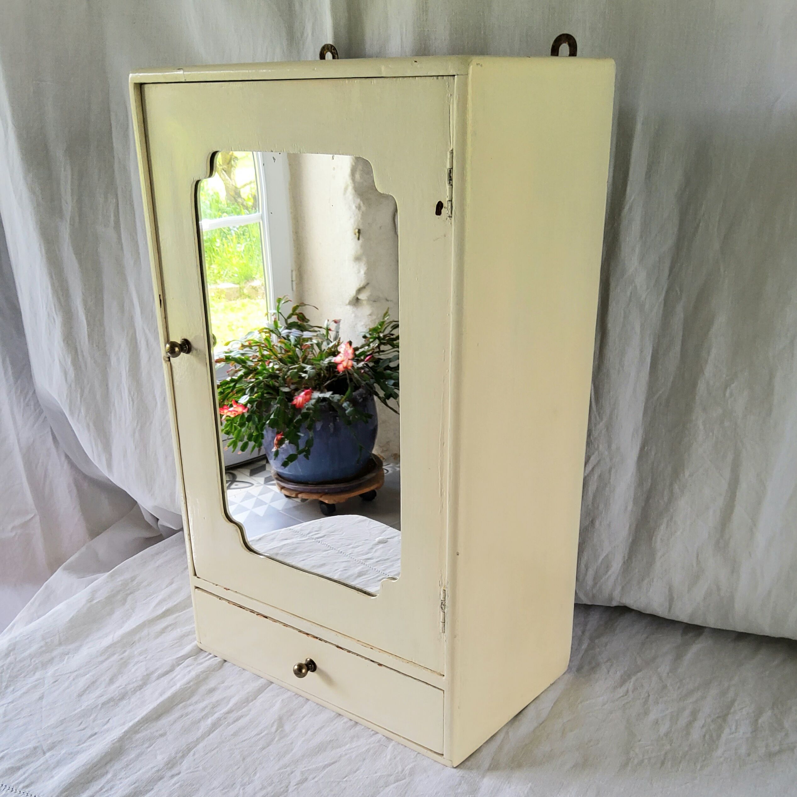 Toilet cabinet or pharmacy