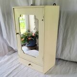 Toilet cabinet or pharmacy