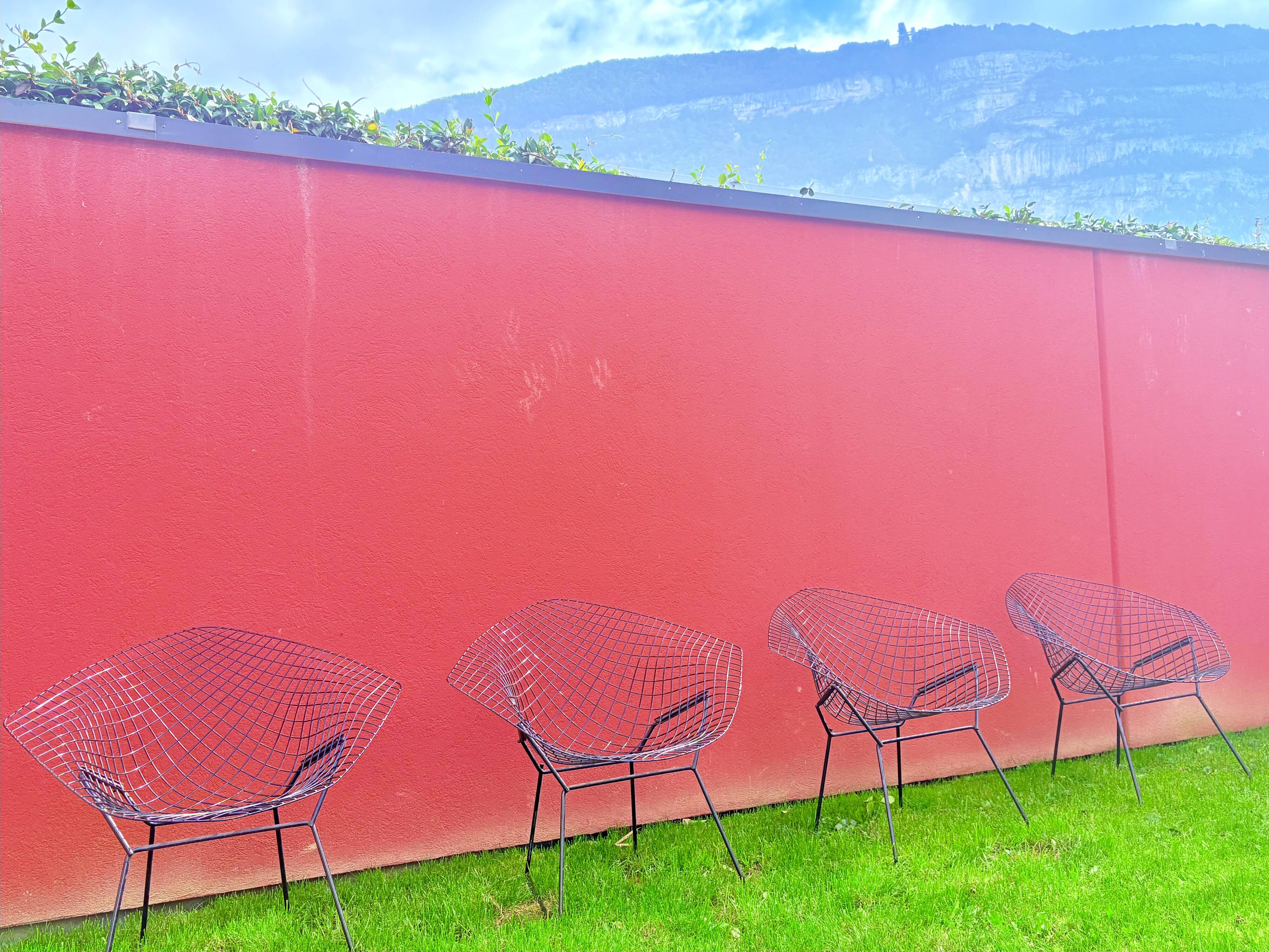 Bertoia chairs