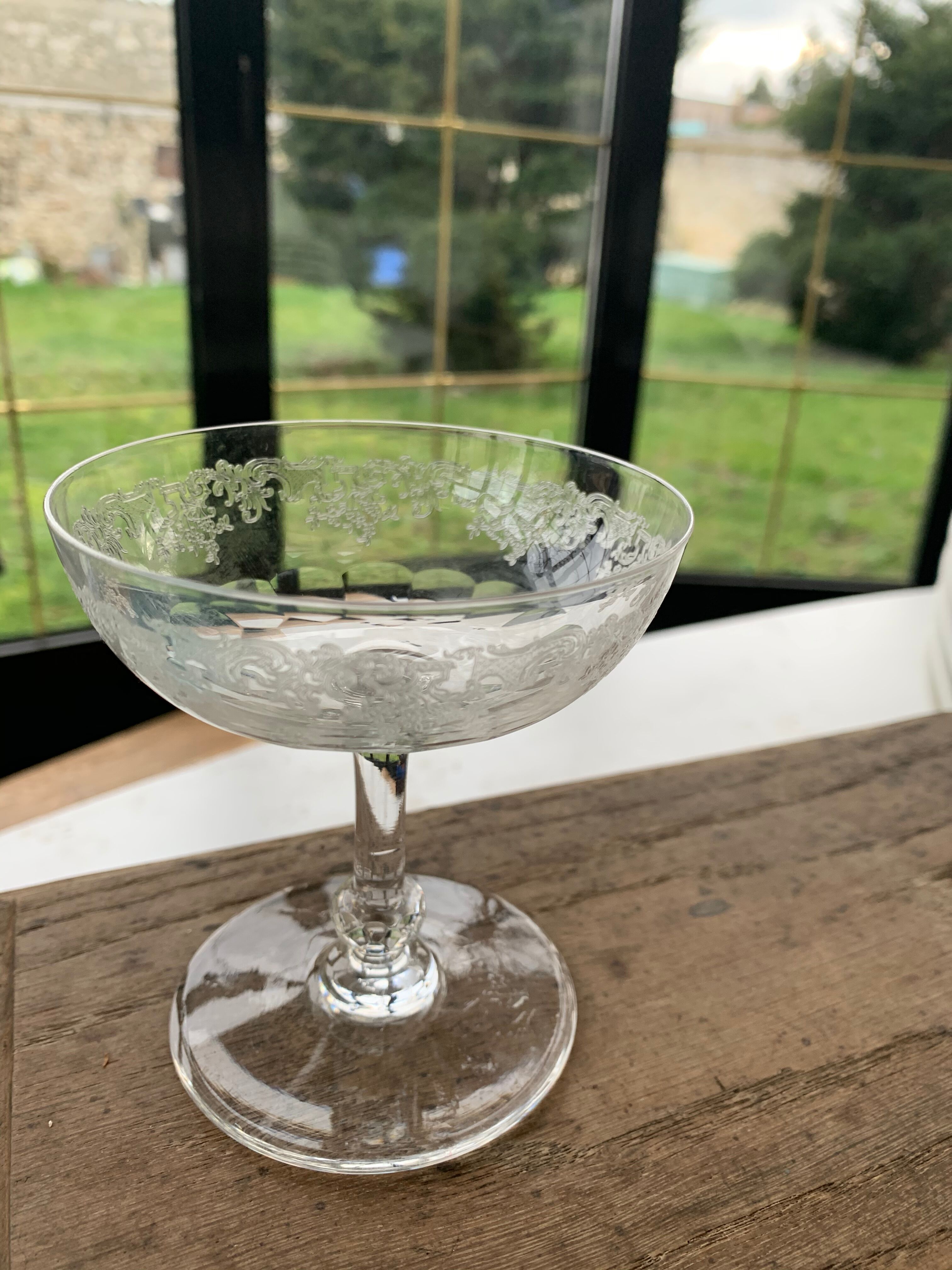 6 art deco champagne glasses with floral frieze