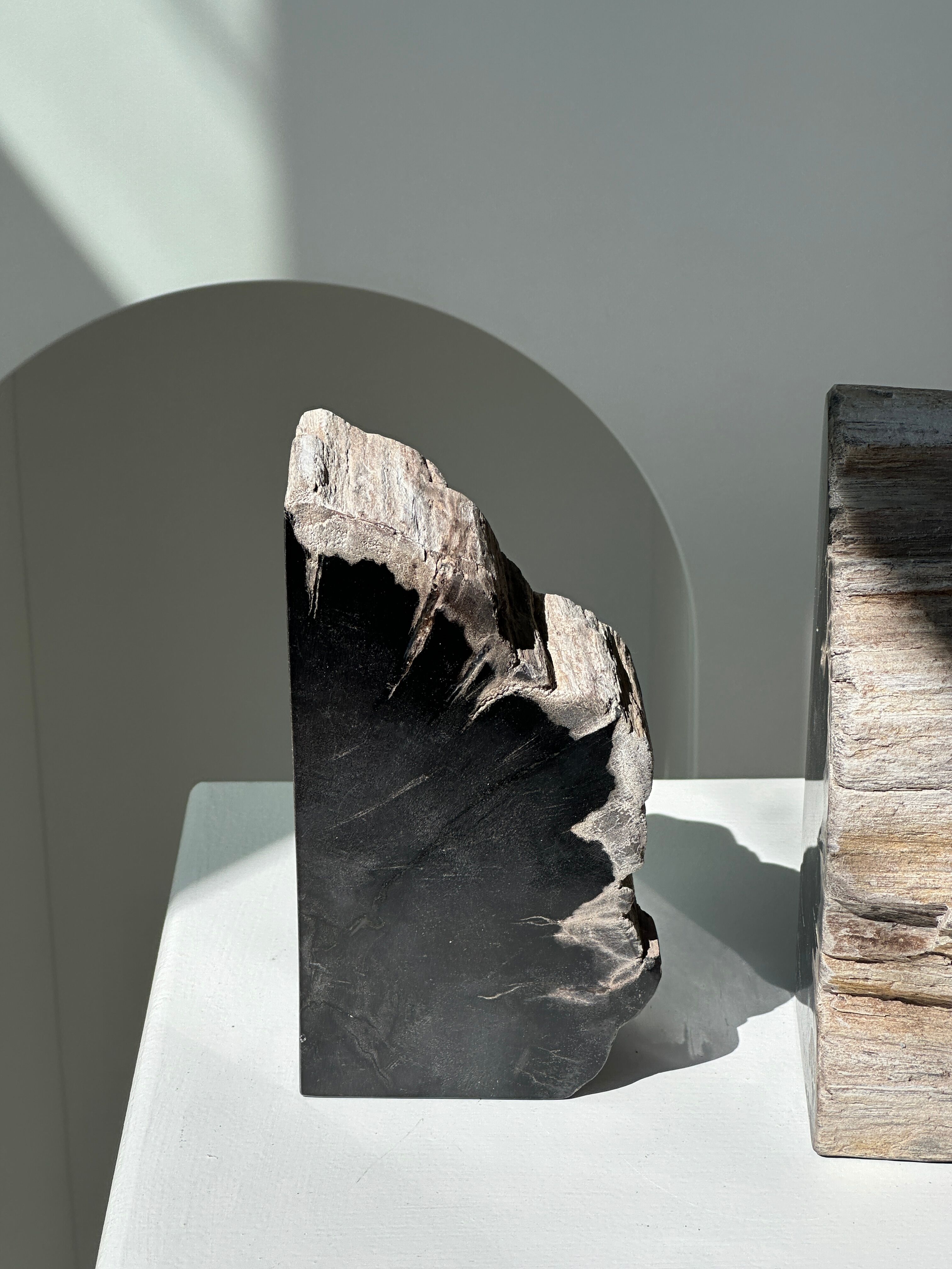 Black petrified wood bookend H17 L17 P6
