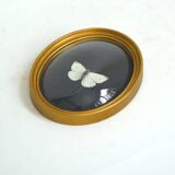Butterfly frame under curved glass
