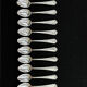 Ercuis cutlery set 131 pieces in metal Louis XV style, rocaille