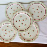 5 flat plates of Gien model Marie Laure 220536