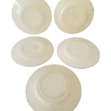 Lot Of 5 Plates François 1er Terre De Fer Model Salins D21.5 Cm