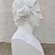 Plaster bust "F. ARAGO / 1839" made by P.J. DAVID (of Angers)