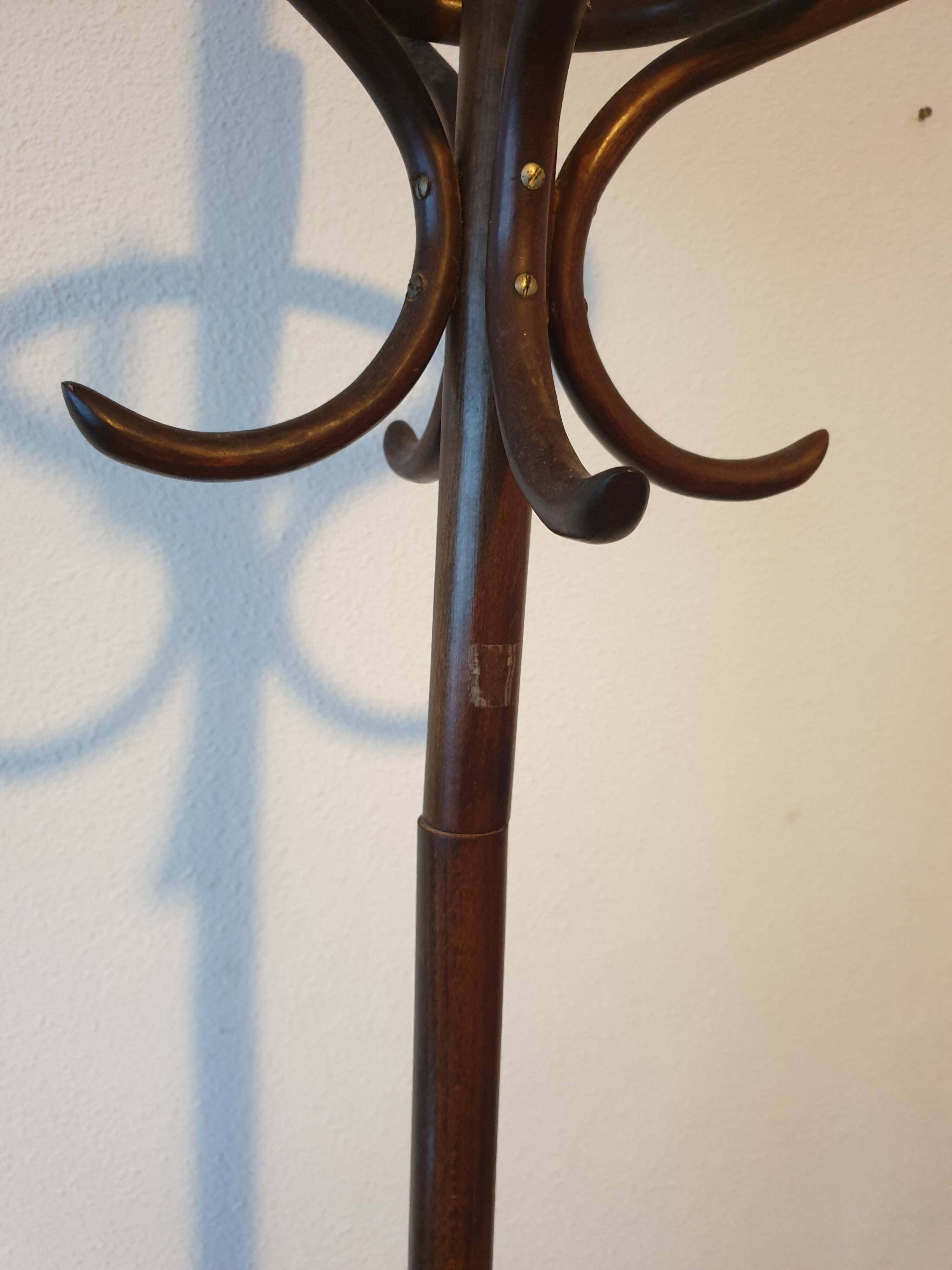Porte manteau  perroquet thonet