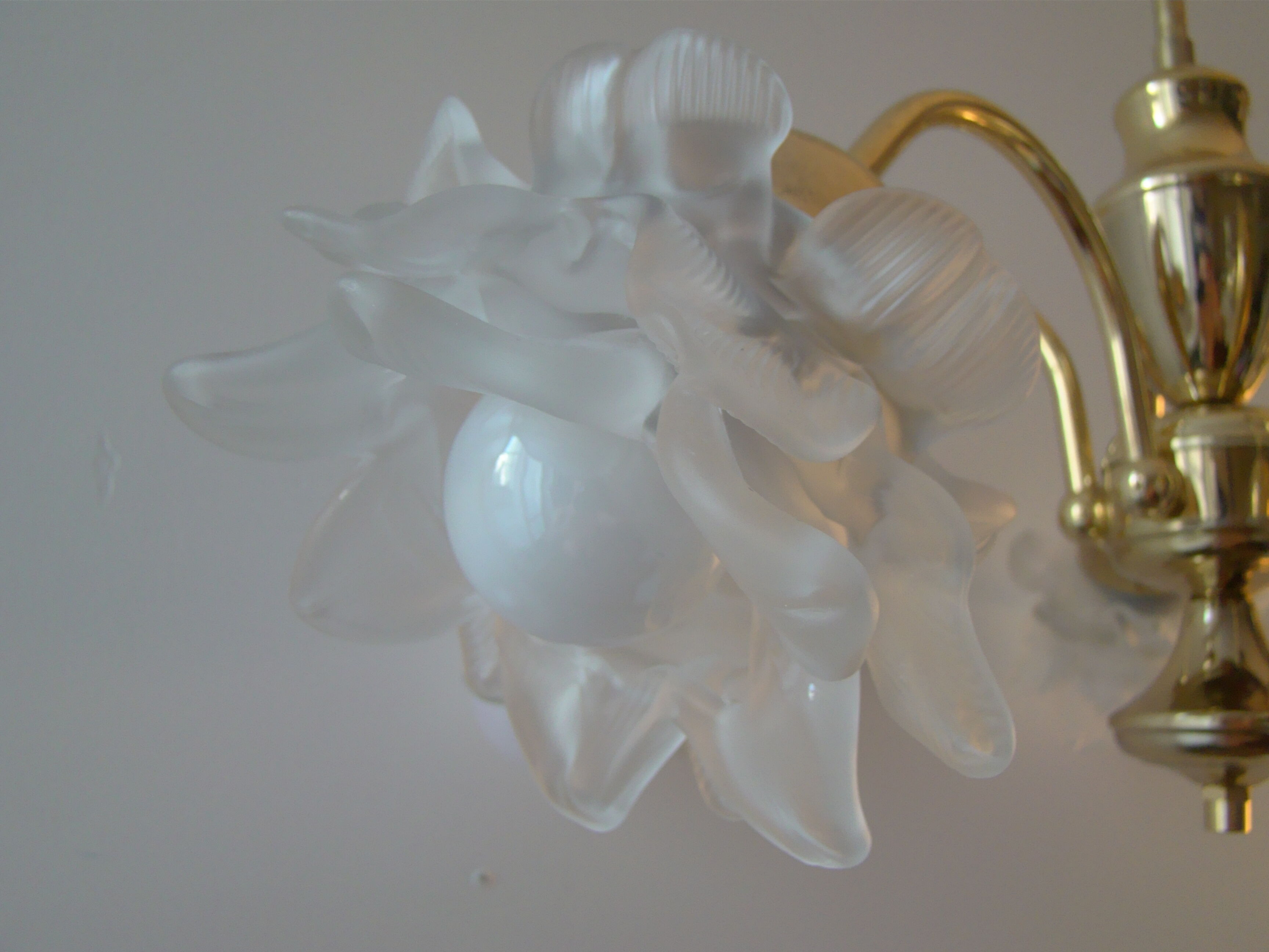 Vintage chandelier with roses in glass paste