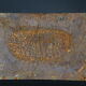 Old enamelled plaque "Golestan Store, Thousand Items" Vintage.
