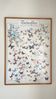 TABLEAU Display BUTTERFLY Italy