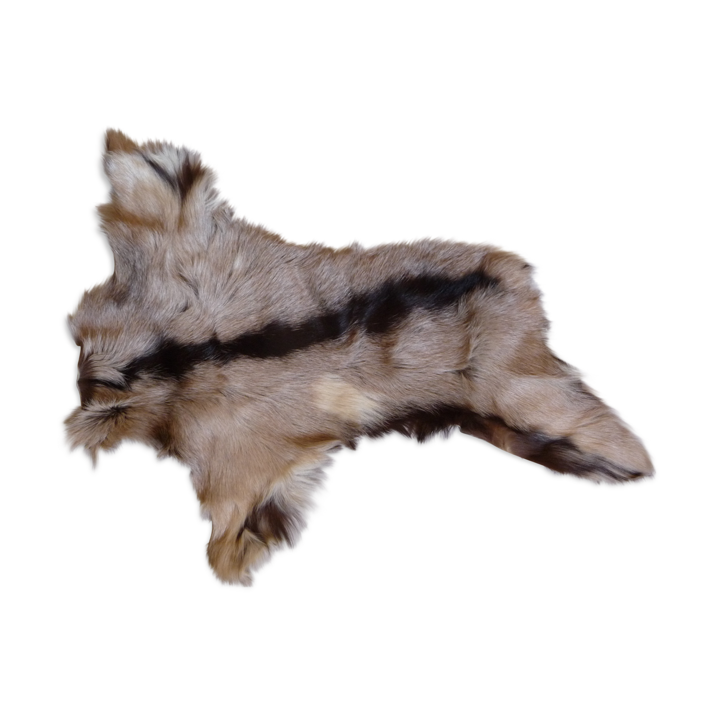 Peau de chevreau