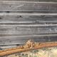 Gilded carved wooden bench louis XV XVIII century