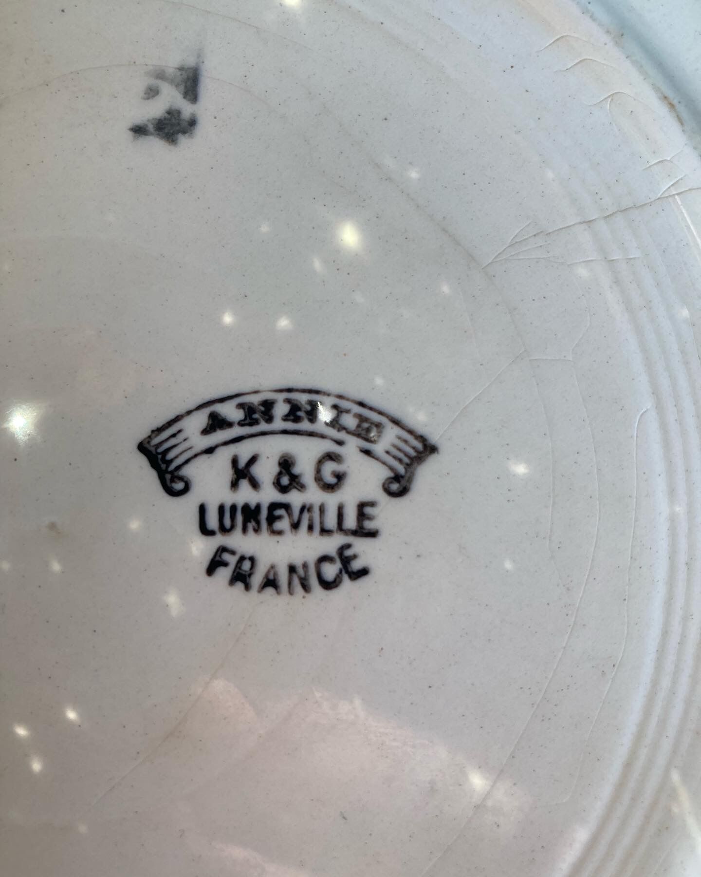 Flat plate Luneville model Annie