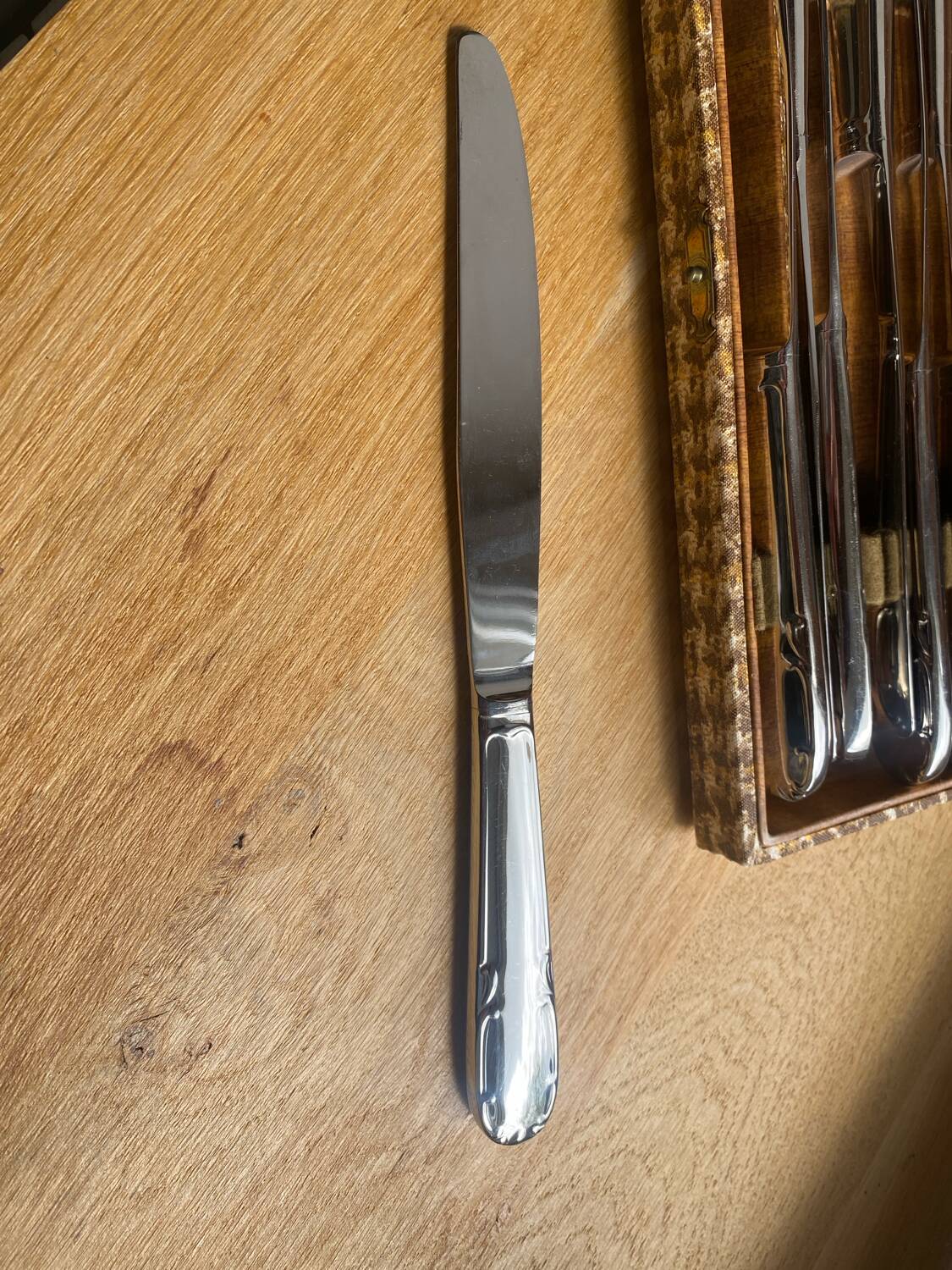 12 Guy Degrenne knives