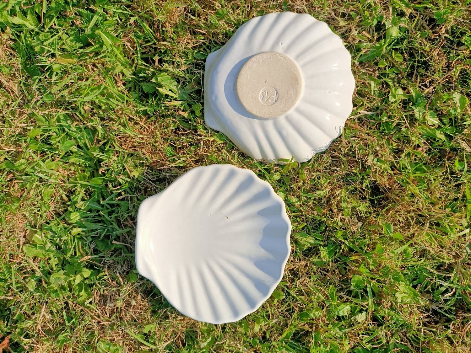 Scallop Shell Soap Dish