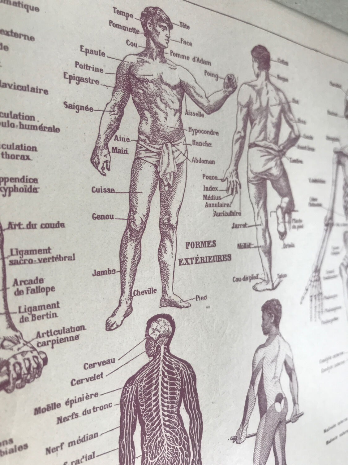 Original medicine board