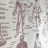 Original medicine board