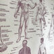 Planche originale médecine