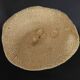 Cabinet of Curiosities sponge carteriospongia foliascens on base