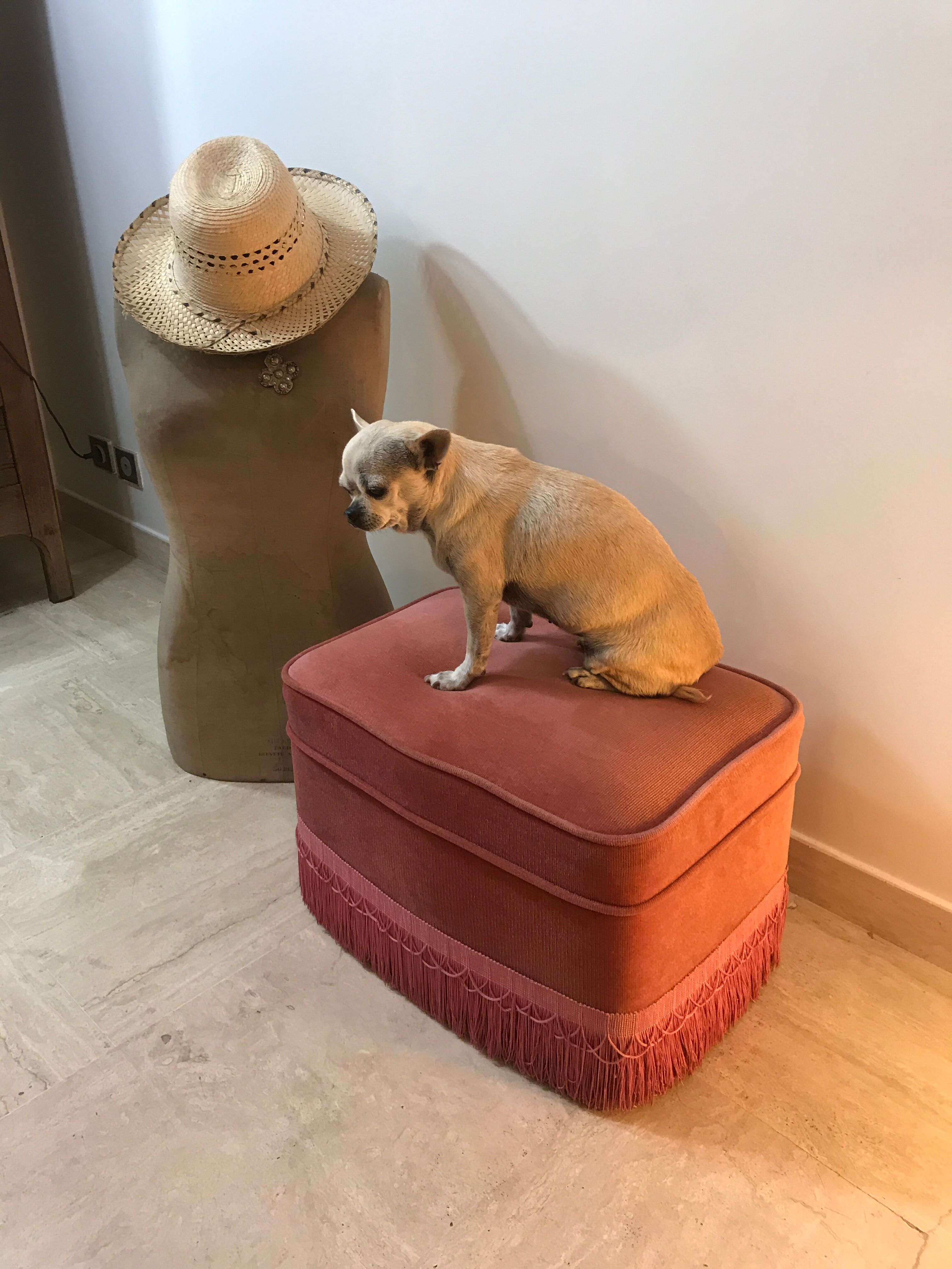Pink velvet pouf with fringes