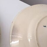 Ensemble de 7 assiettes Terre de Fer Rhodes Longwy XIX