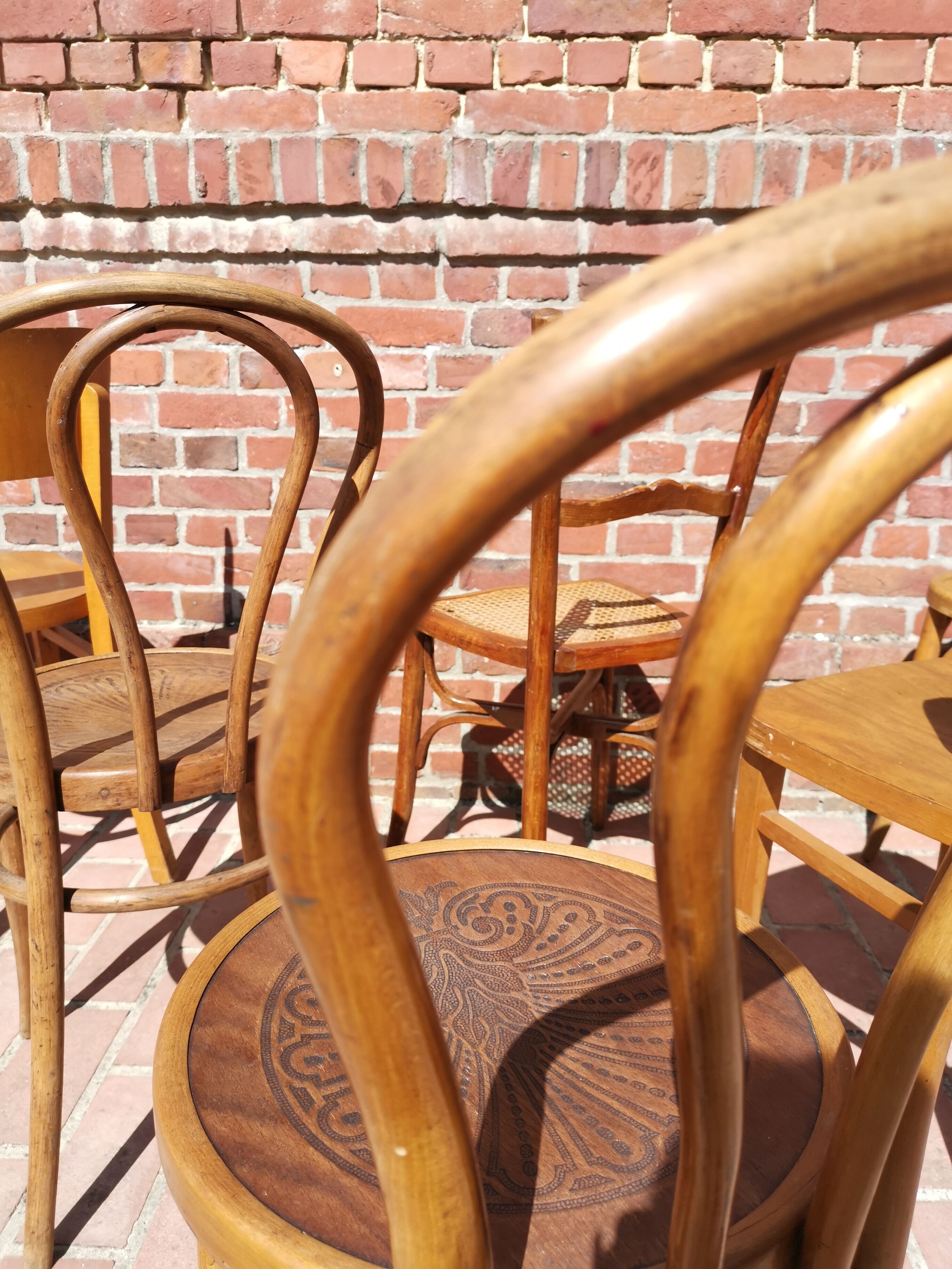 Lot of 6 chairs Jacob - Josef Kohn, Thonet, Mahieu