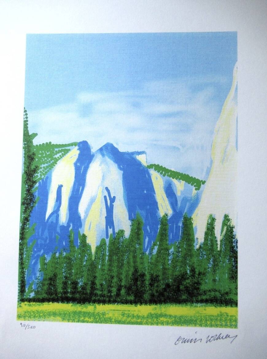 Lithograph by David Hockney, signed and numbered.