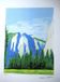 Lithograph by David Hockney, signed and numbered.