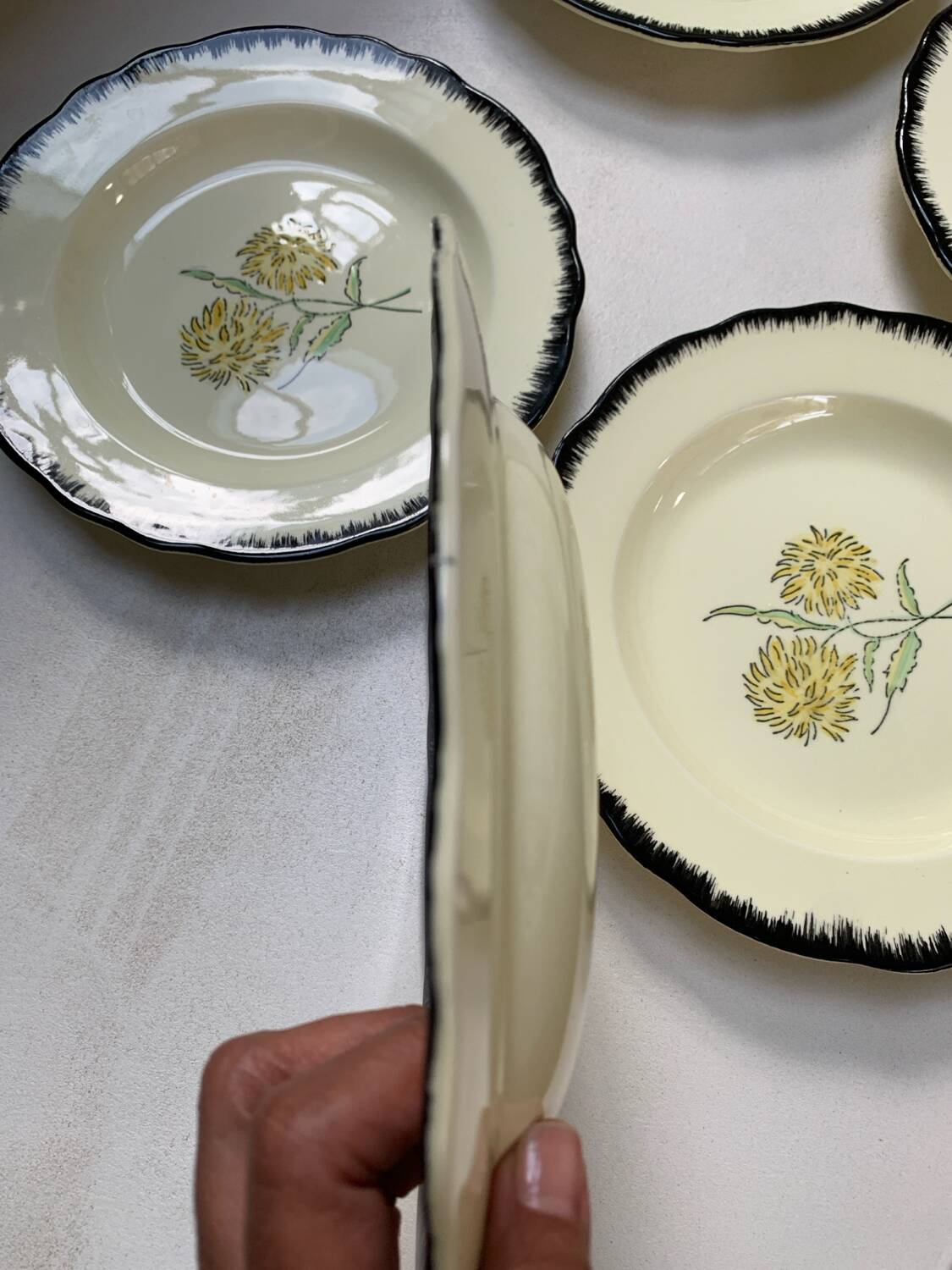Salins France plates