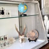 Old stainless steel window