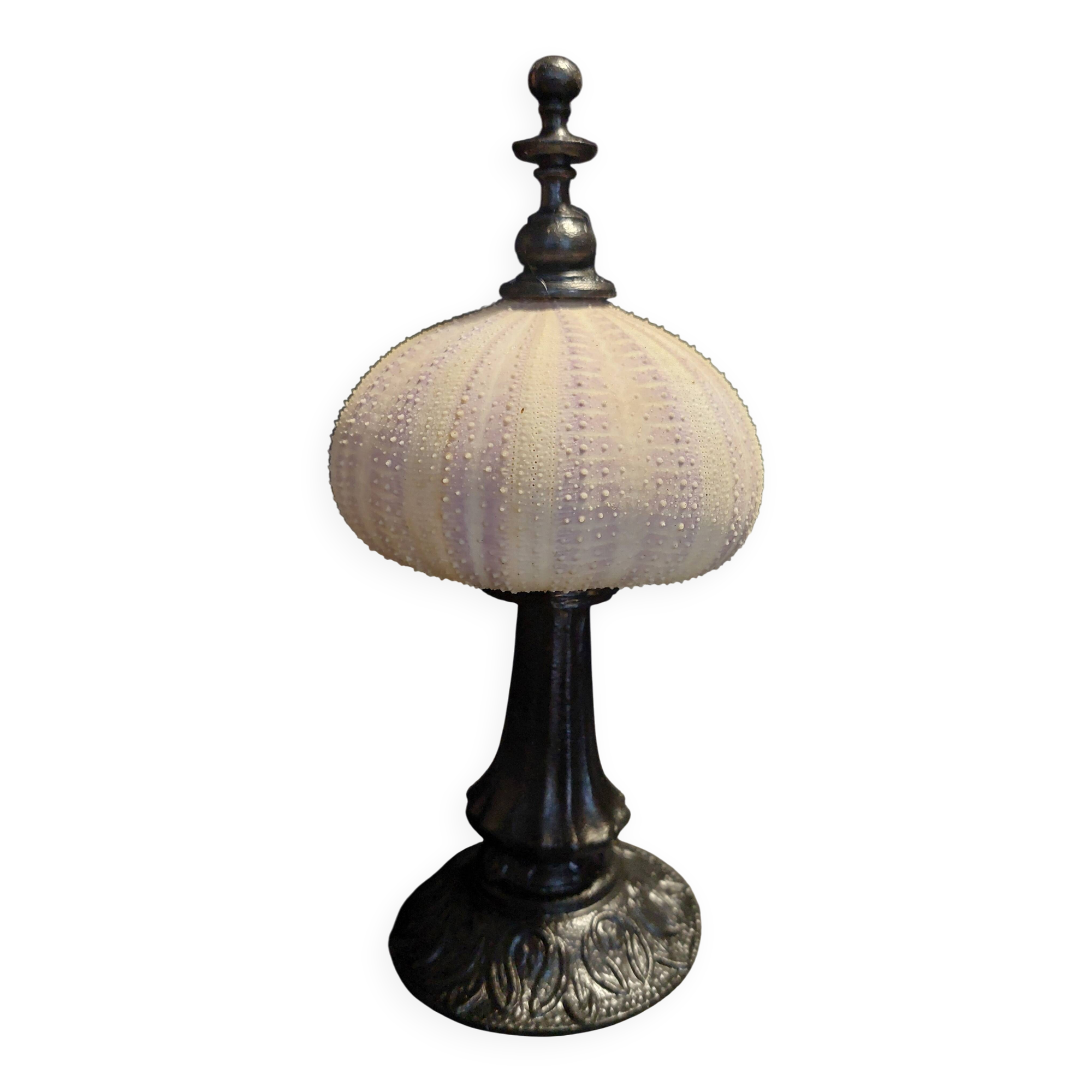 Cabinet of Curiosities sea urchin priest's bonnet tripneustes gratilla on a pedestal