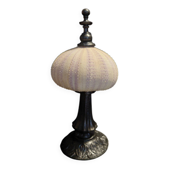 Cabinet of Curiosities sea urchin priest's bonnet tripneustes gratilla on a pedestal