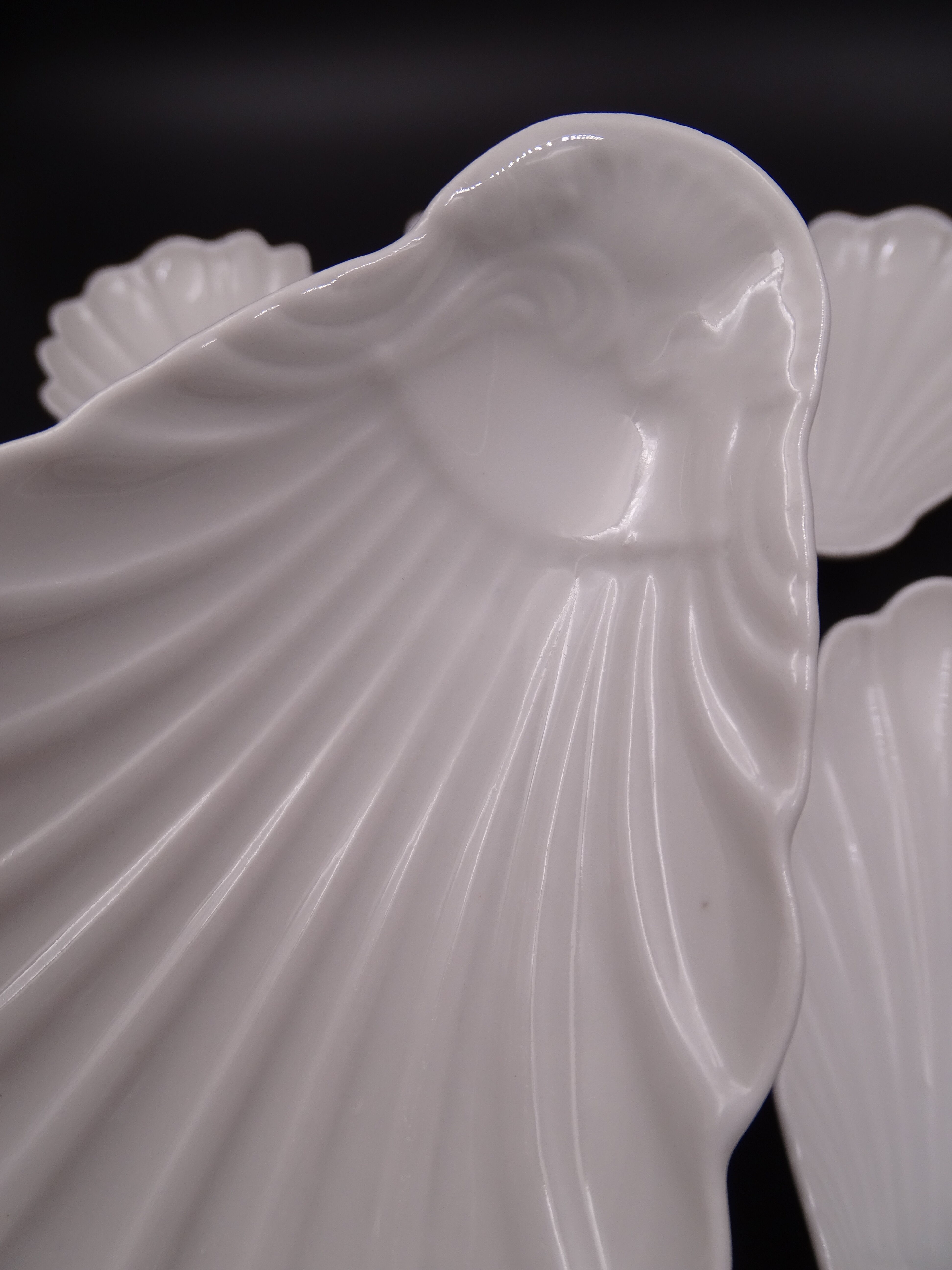 Set of 7 cups in white porcelain and in the shape of a shell - Pillivuyt around 1940