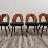Dining Chairs by Antonin Suman, 1960s, Set of 4
