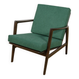 Model 300-139 Armchair from Swarzędz Furniture Factory, 1960s