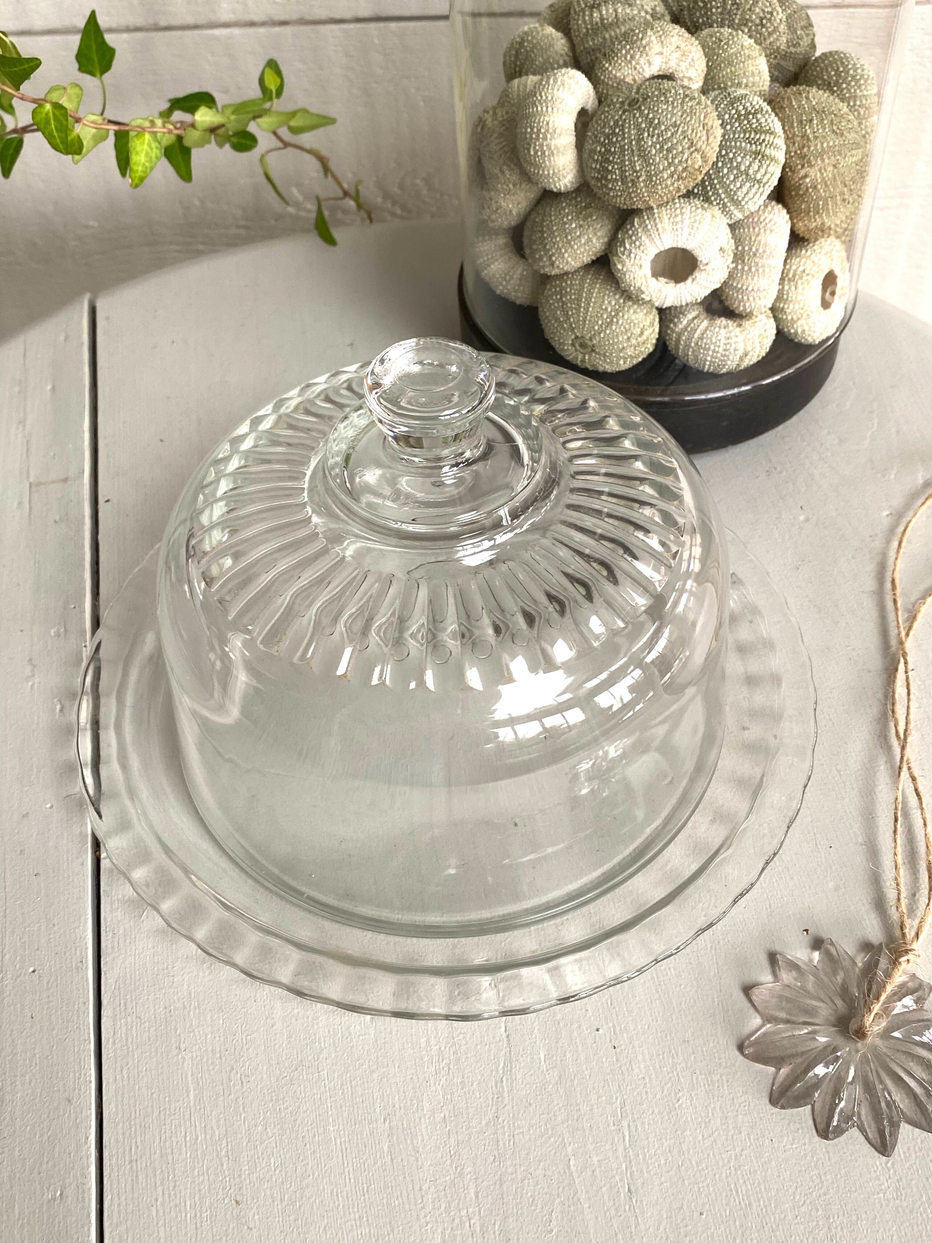 Glass bell with plate
