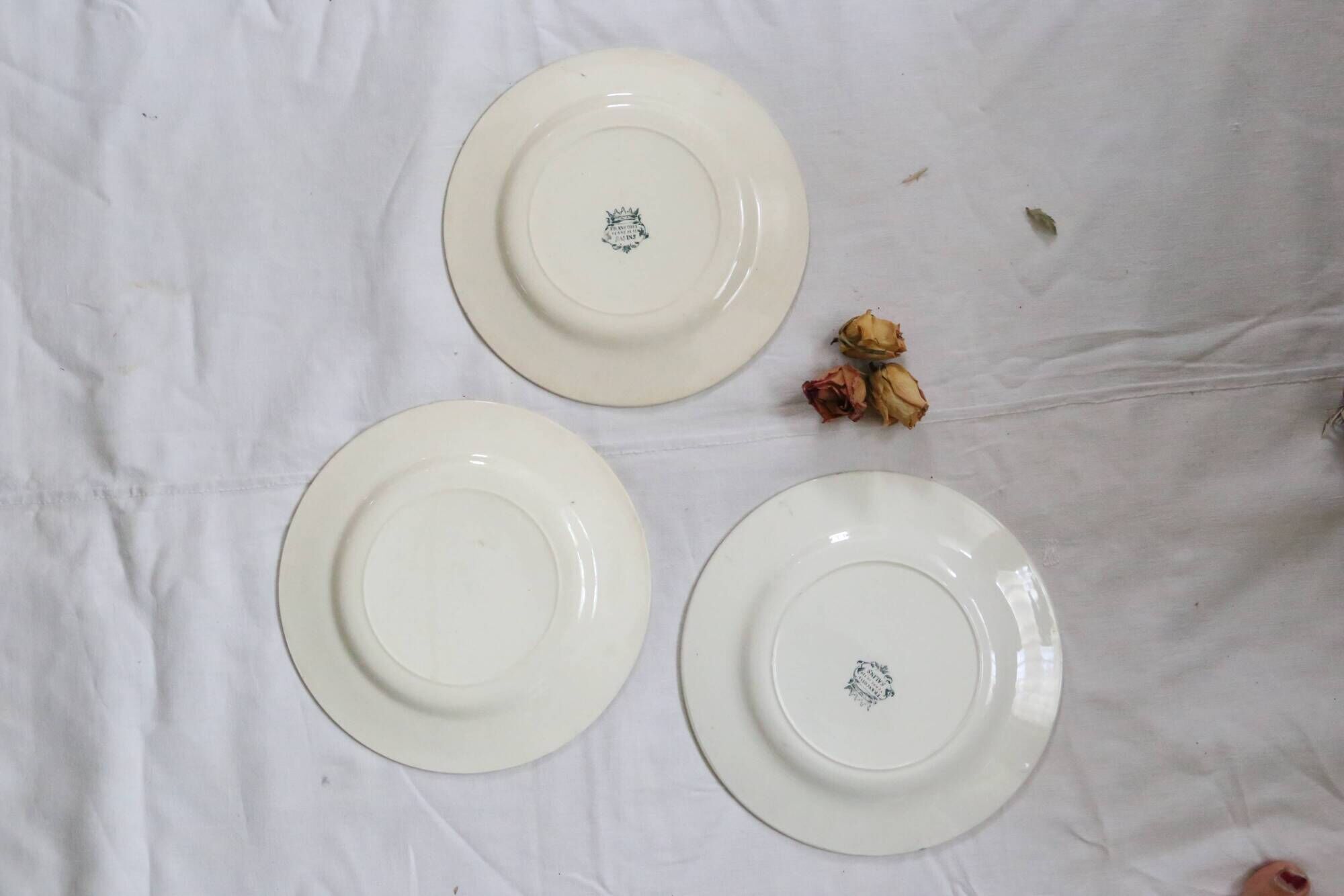 Flat plates 3, Terre de fer, Francis I motif, Salins, France